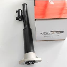 Suspension Bare Strut Assembly