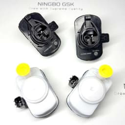 Evaporative System Integrity Module.