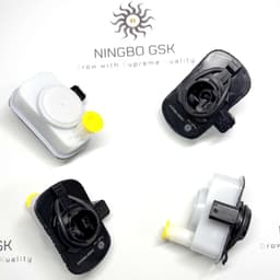 Evaporative System Integrity Module.