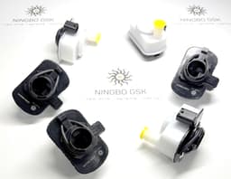 Evaporative System Integrity Module.