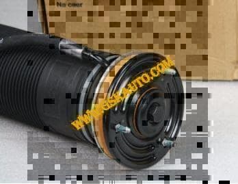 GSKSAR132