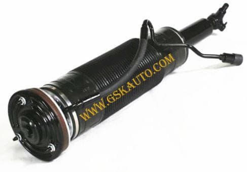 GSKSAR134