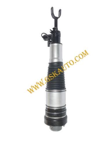 GSKSAR176