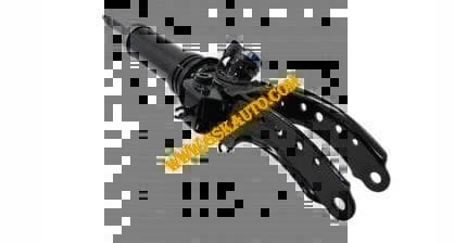GSKSAR187