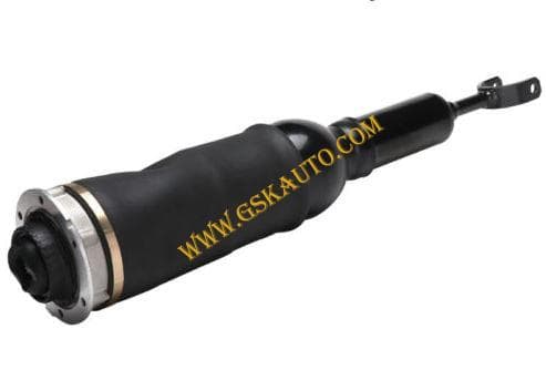 GSKSAR233