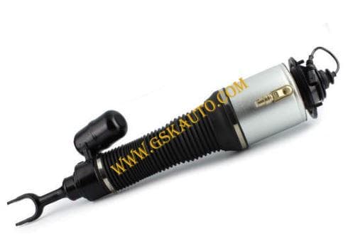GSKSAR305
