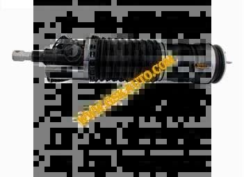 GSKSAR317