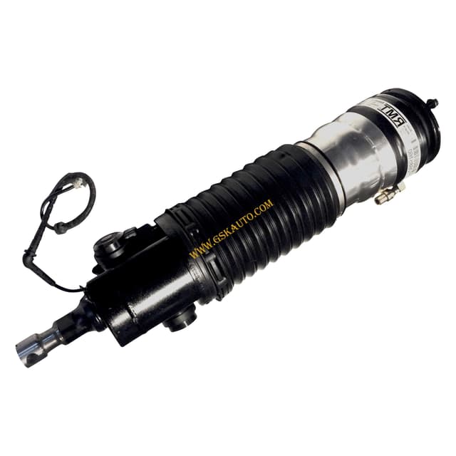 GSKSAR318