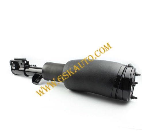 GSKSAR356