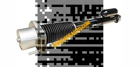 GSKSAR406
