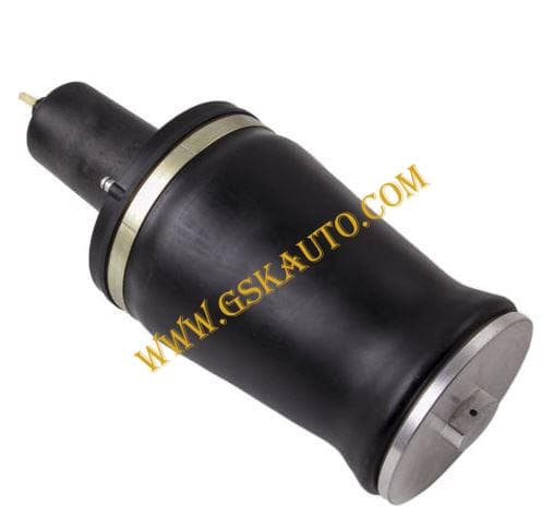 GSKSAR419