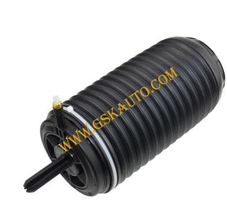 GSKSAR484
