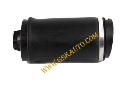 GSKSAR502